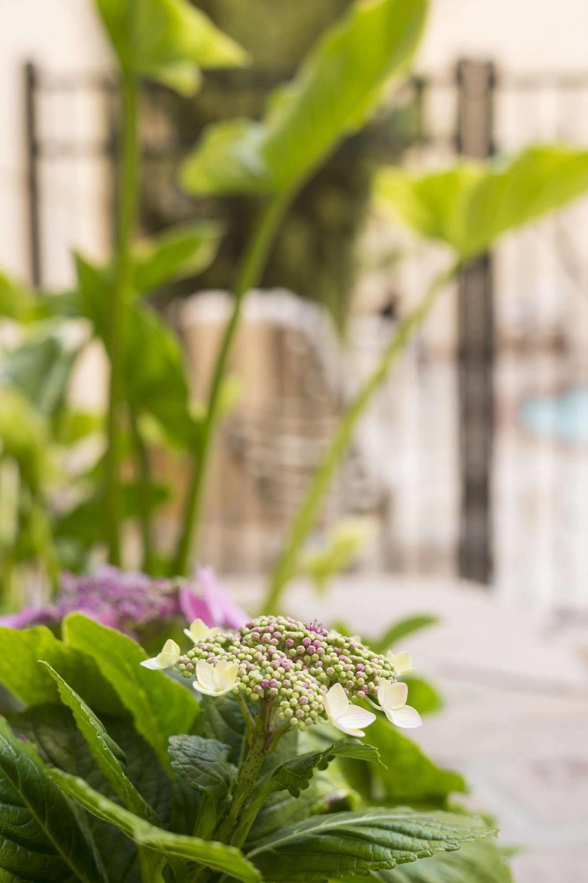 Ayres Hotel Manhattan Beach Hawthorne Bagian luar foto